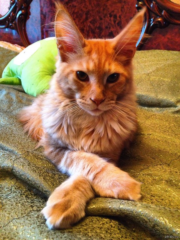 6 �������