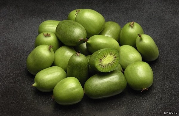 Новый гладкий сорт киви, который вывели в Великобритании