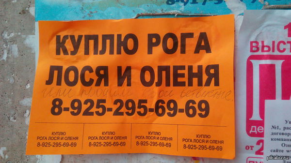 Утром обнаружил у подъезда | Пикабу