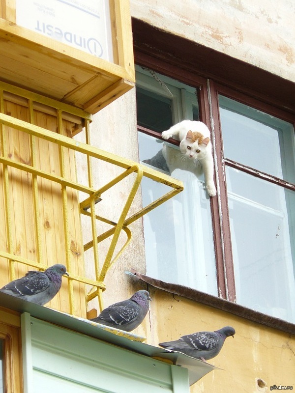 �������, �� �� �������...