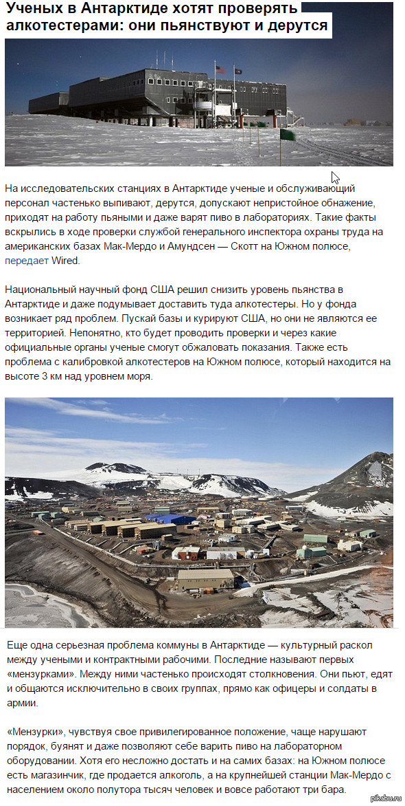 ...гоняют бухими на снегоходах и обзывают белых медведей нехорошими словами