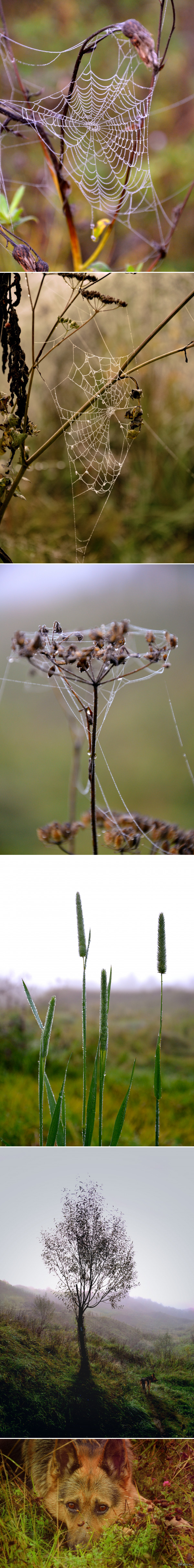 ���������� �����