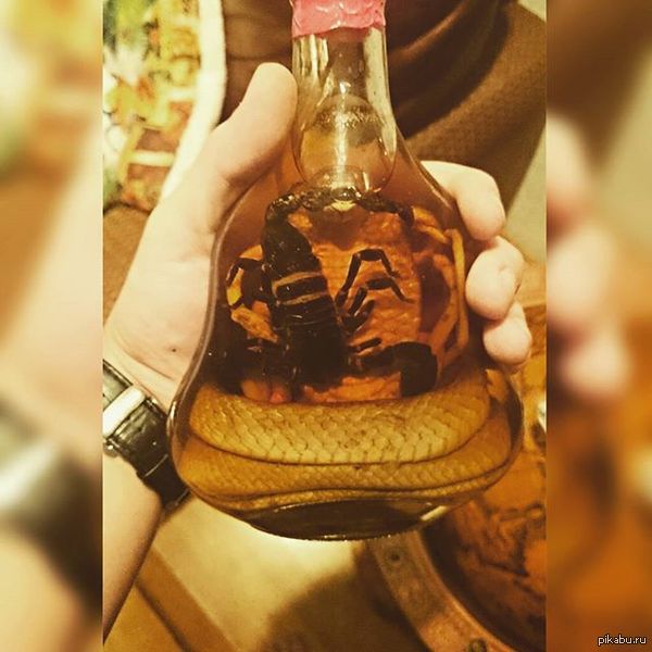     <a href="http://pikabu.ru/story/risovaya_vetnamskaya_vodka_s_kobroyu_kotoroy_v_pasti_skorpion_3691483">http://pikabu.ru/story/_3691483</a>