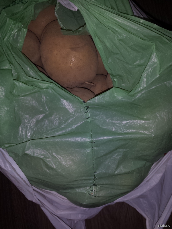 ���������� ���������.