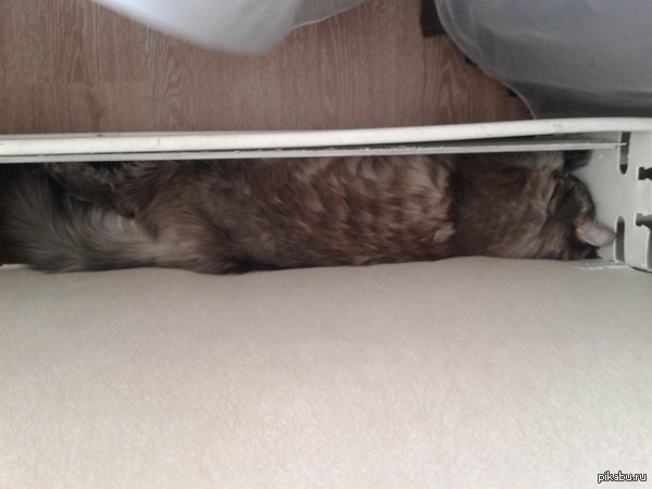 Отопление включили ))