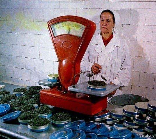 Баку.Расфасовка черной икры.1979 год