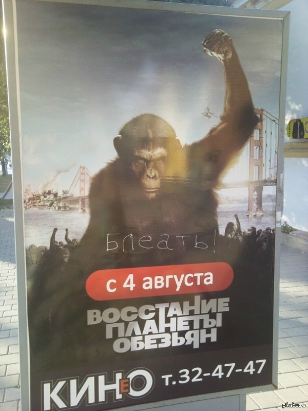 Ну похоже же...