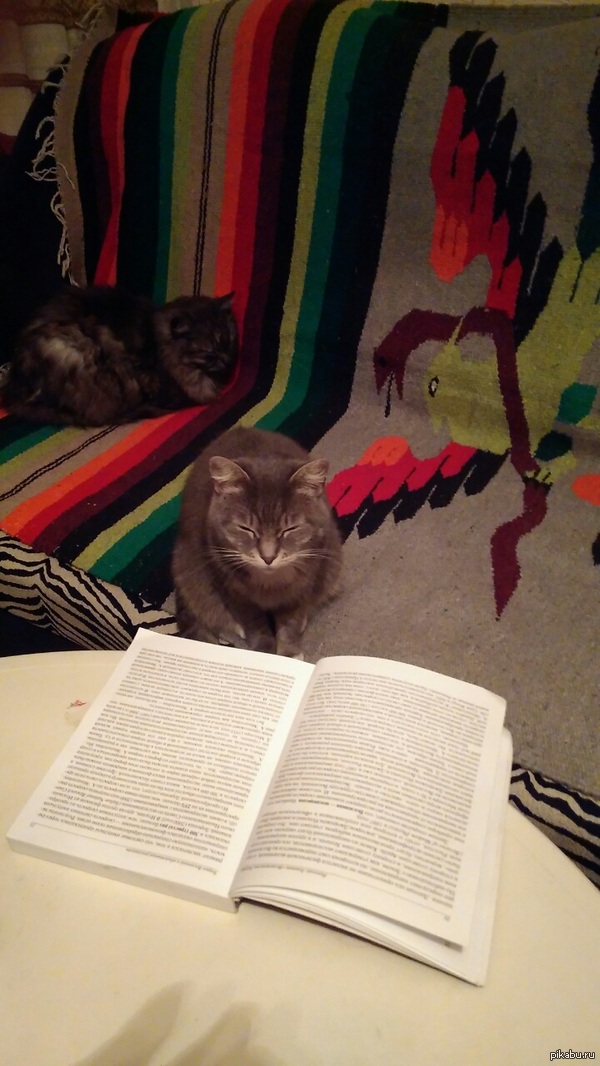 Время сказок на ночь