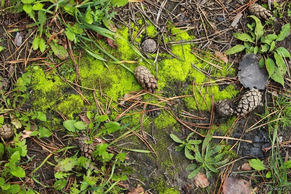 �������� �� ����