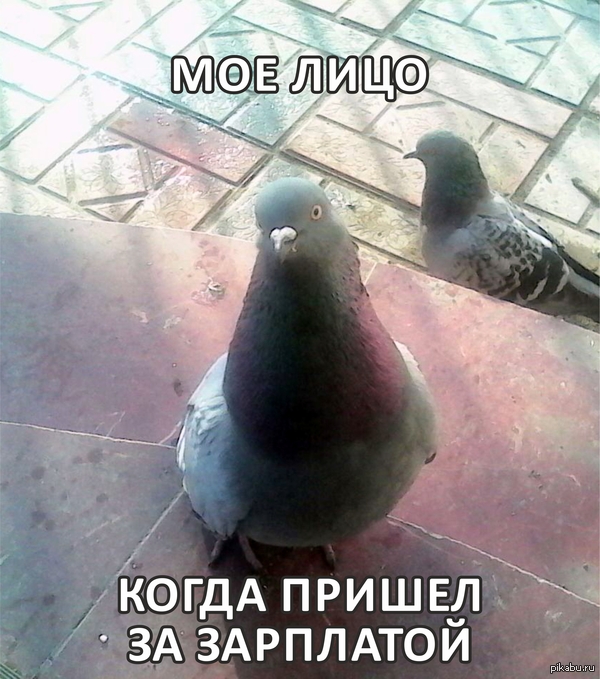 ����� ������ �� ���������.