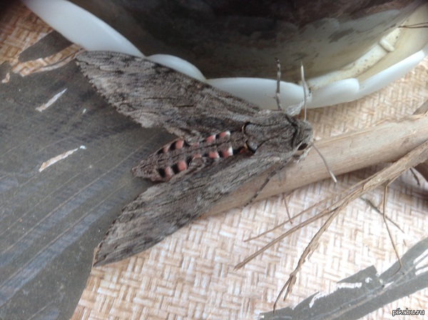 �������� �������� ���������!