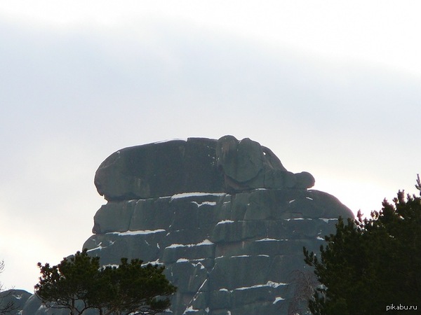 ����� ������� �� �������