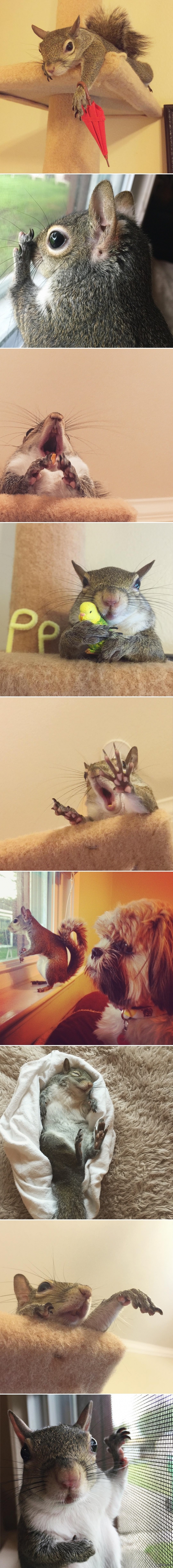 �������� ������