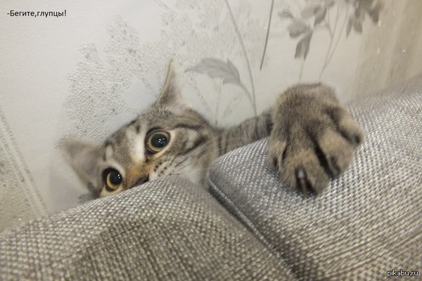 �� ��� �� ���� �� ����������?