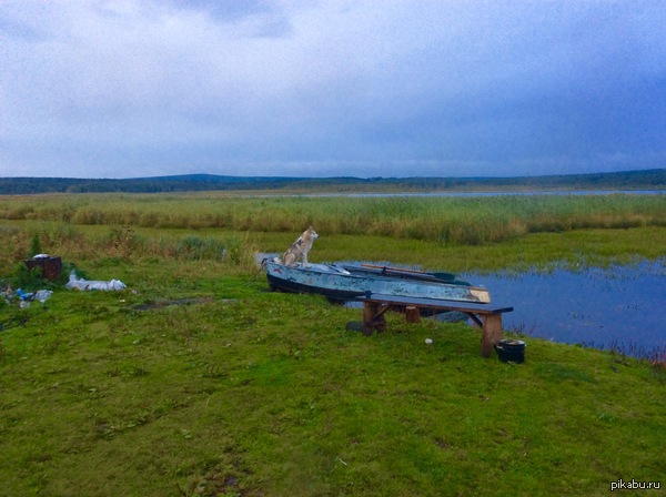 � �������� �������.