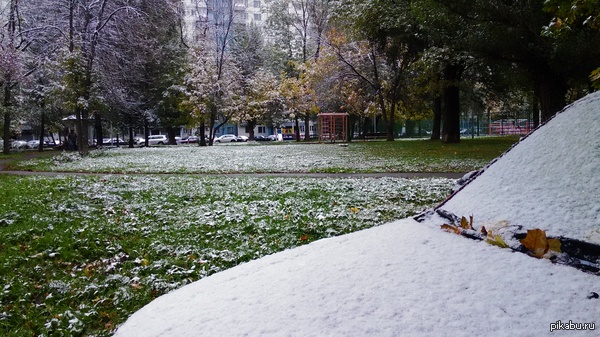 ����: ������