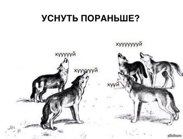 Уснуть пораньше?