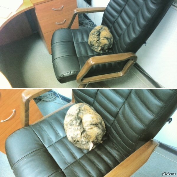 ������ ������� ����� �� ������, � ��� ����� ���� ���� � ���� � ������)