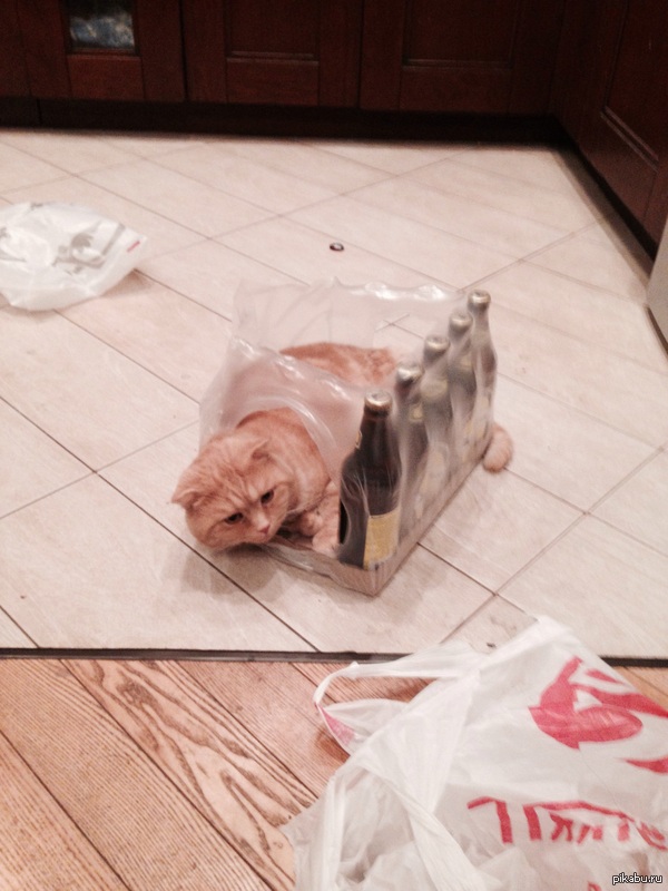 ��� ������!