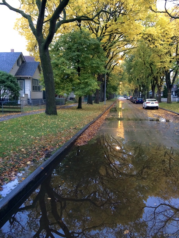 ����� � ������