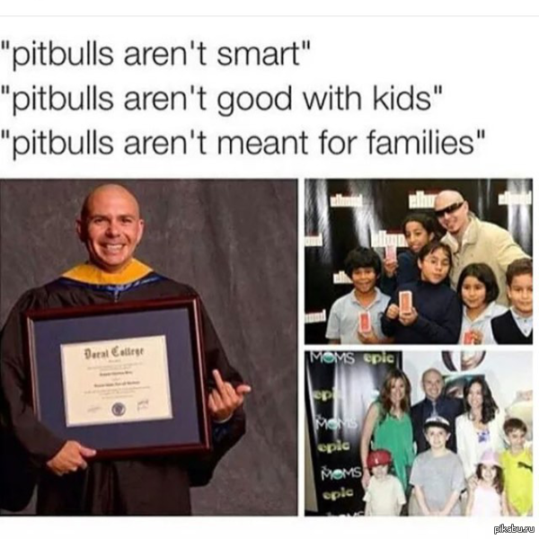 ,   "   "  "    "  "     "