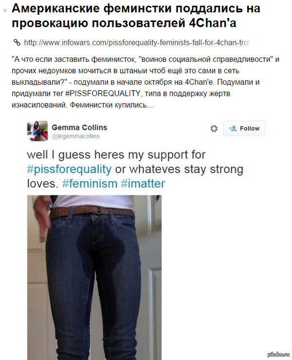       4Chan' http://www.infowars.com/pissforequality-feminists-fall-for-4chan-troll-campaign-by-peeing-themselves/
