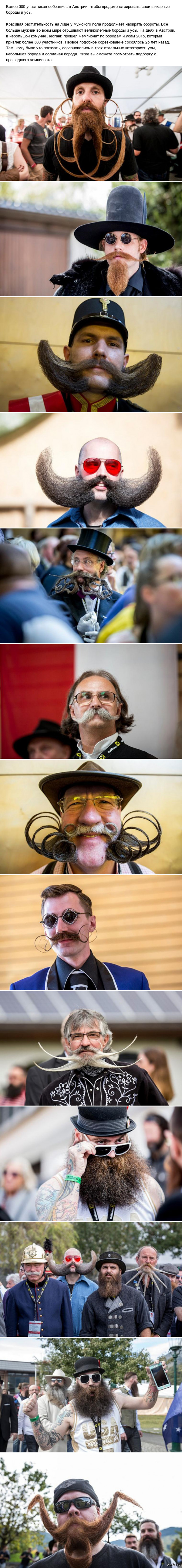 The World Beard and Mustache Championship 2015 has ended in Austria - Competitions, Усы, Beard, Longpost, Austria