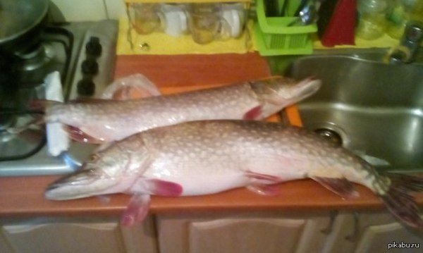 �������� ��������� � ����! � ����� ���������, �� 8 �� :D