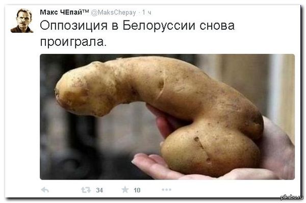The opposition in Belarus lost again. - Syabry, Bulba, Potato, Elections, Republic of Belarus, Politics, NSFW