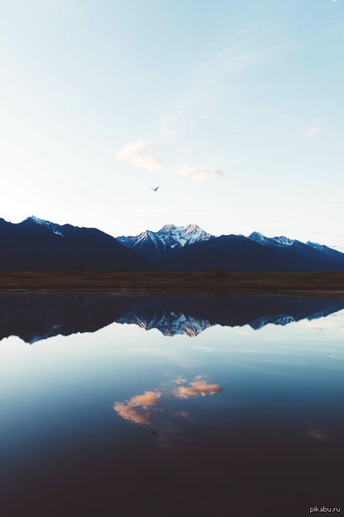 ���������� ���������