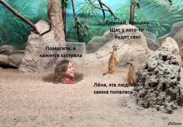 ˸        <a href="http://pikabu.ru/story/_3705111">http://pikabu.ru/story/_3705111</a>    )