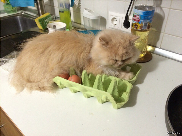 ����������� �������� ��� ������� � ����������.