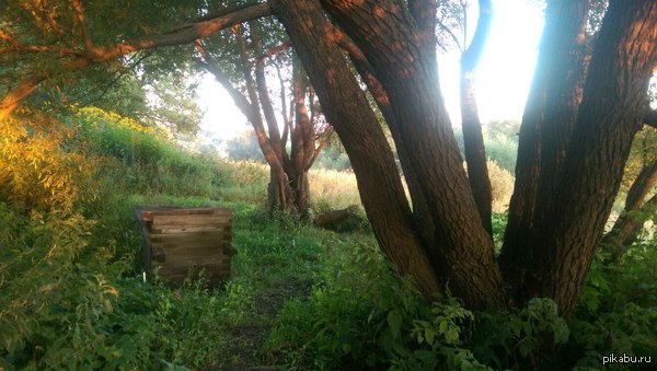 ������ �������.��������.