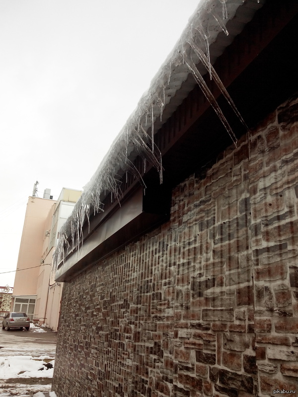 Кривые сосули