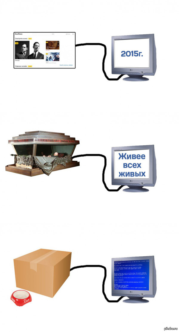 Криминалисты разработали новую математическую модель для более точного определения времени смерти https://nplus1.ru/news/2015/10/12/pmi