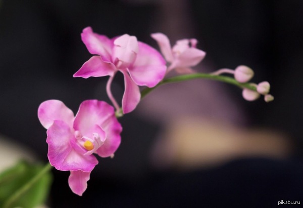 ������� �� ���������� �����