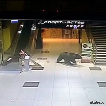 ������ ����������