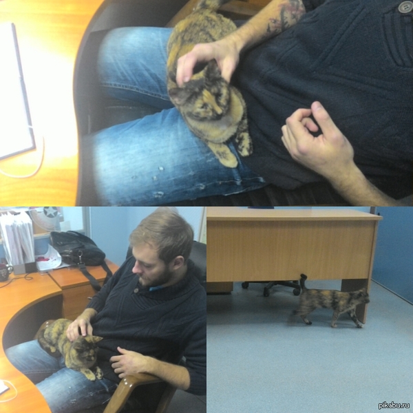 ���������� ����������)) ��� ��� ������ ����� � ��� ����� ���������� ��������))