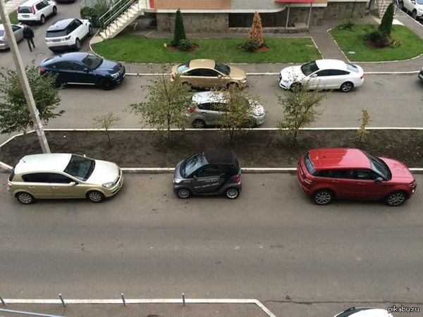 ���������� - ���� �����