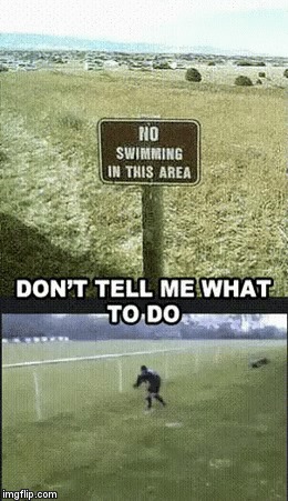 -      ! 