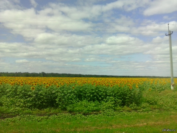 ���� �����������