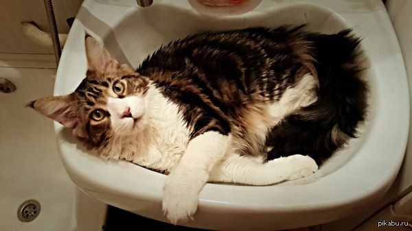 ���� ��������� �� ����� � �� ������,