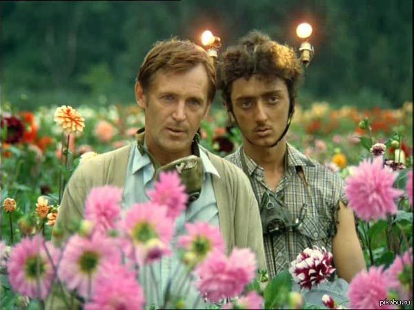 ������, ������. ��� �� ������� ����� �� ������ ��� coub, ��� ������ ����� �� �����, � �������� �� ���� �����. �������� �����