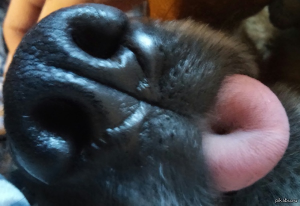 � ������ ������ ������� ������� ���...