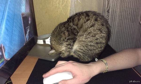 ��� ����� ������ ������� ����.