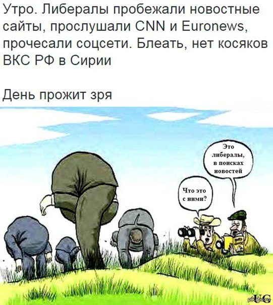Утро либерала ... | Пикабу