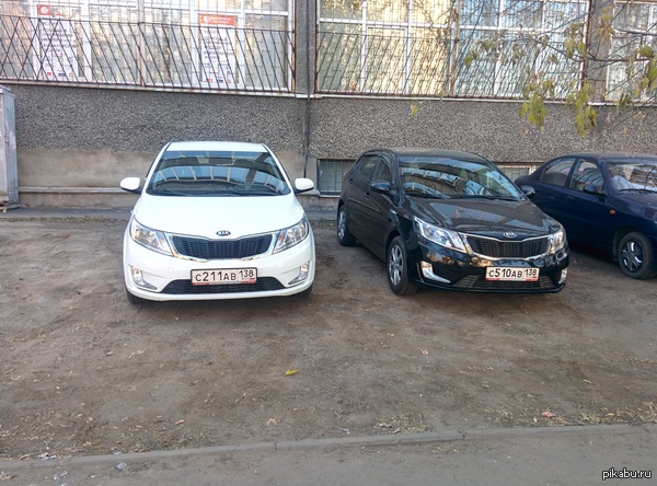 Нашли друг друга....