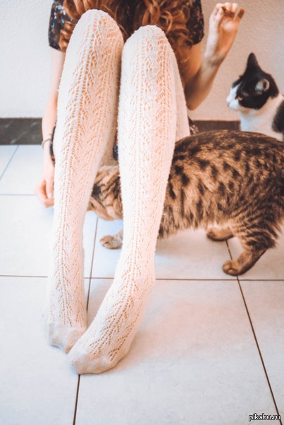 Everyone loves cats - NSFW, Foot fetish, Beautiful girl, cat, Legs