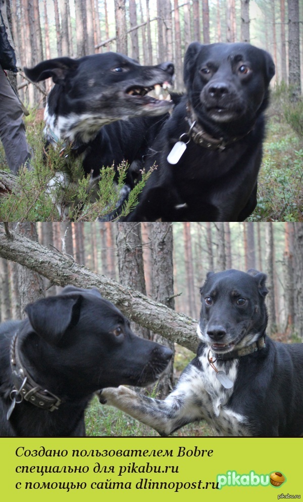 ����� ���� ������� ������, � ����� ����������