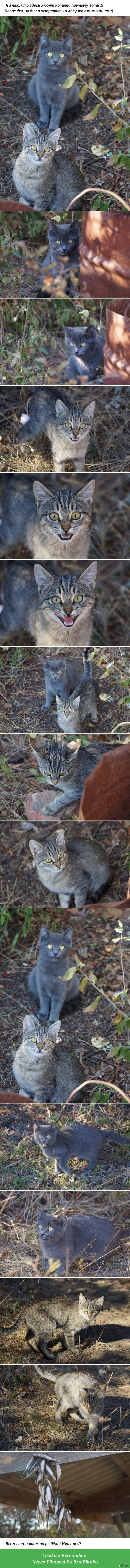 ������������� �����